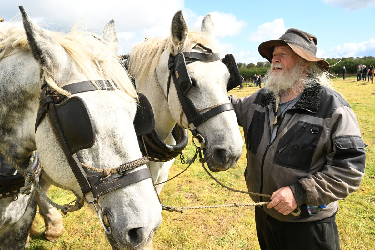Jerry from Kerry with horses Larry and Elton John at the ploughing competition. Picture: Larry Cummins Jerry from Kerry with horses Larry and Elton John at the ploughing competition. Picture: Larry Cummins