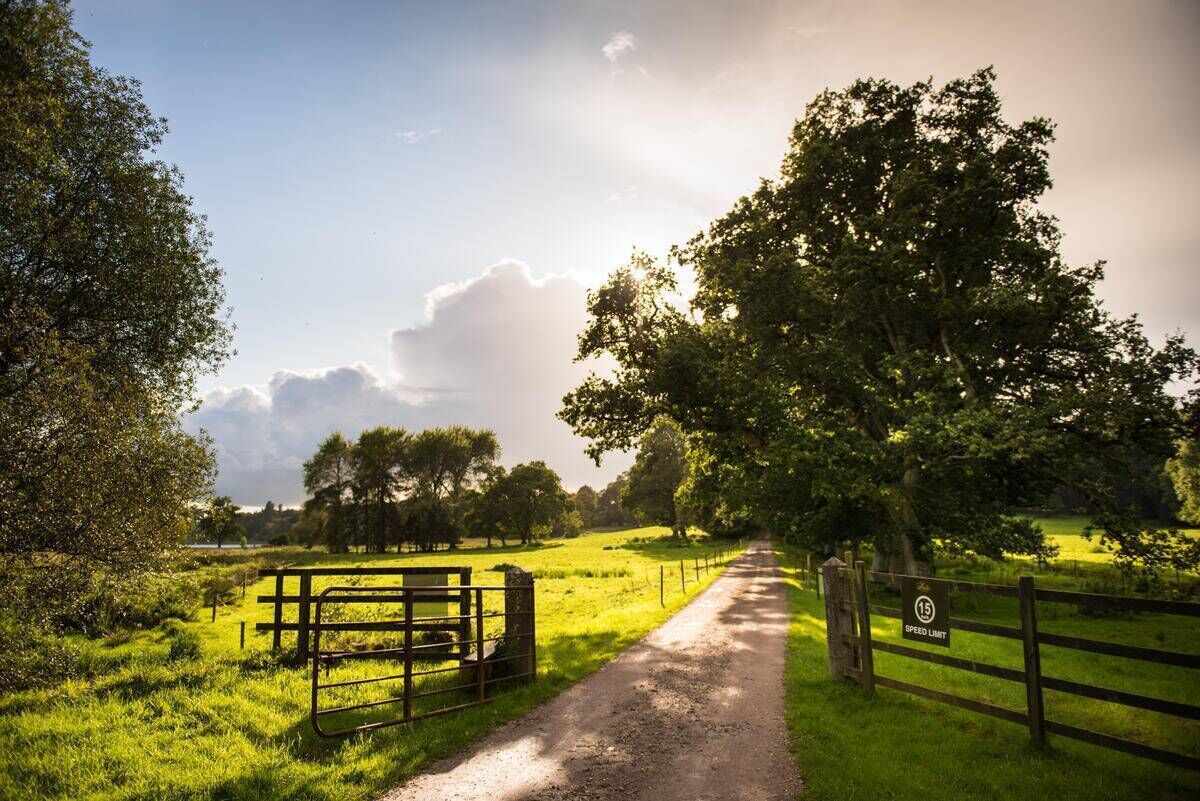 The beautiful grounds of Castle Leslie Estate in Co Monaghan, one the many great Irish castle hotels to discover. The beautiful grounds of Castle Leslie Estate in Co Monaghan, one the many great Irish castle hotels to discover.