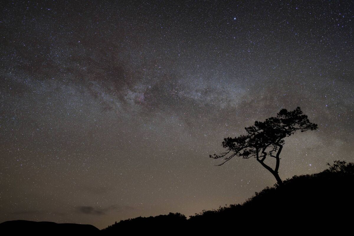 Mayo Dark-Sky Park. Picture: Josh Matthews Mayo Dark-Sky Park. Picture: Josh Matthews