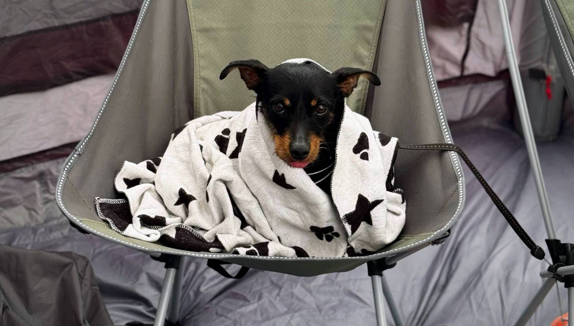 Rainy days can be hard on campsites. Just ask Jennifer Sheahan's dog Perry, all wrapped up in Cahersiveen, Co Kerry. 