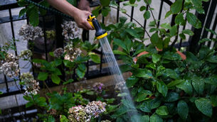 <p>The bans were initially imposed in July due to local water supplies becoming strained during a record-breaking summer of heat. Picture: Yui Mok/PA Wire</p> <p>The bans were initially imposed in July due to local water supplies becoming strained during a record-breaking summer of heat. Picture: Yui Mok/PA Wire</p>