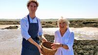 Joe McNamee: Failing to maximise the potential of seaweed