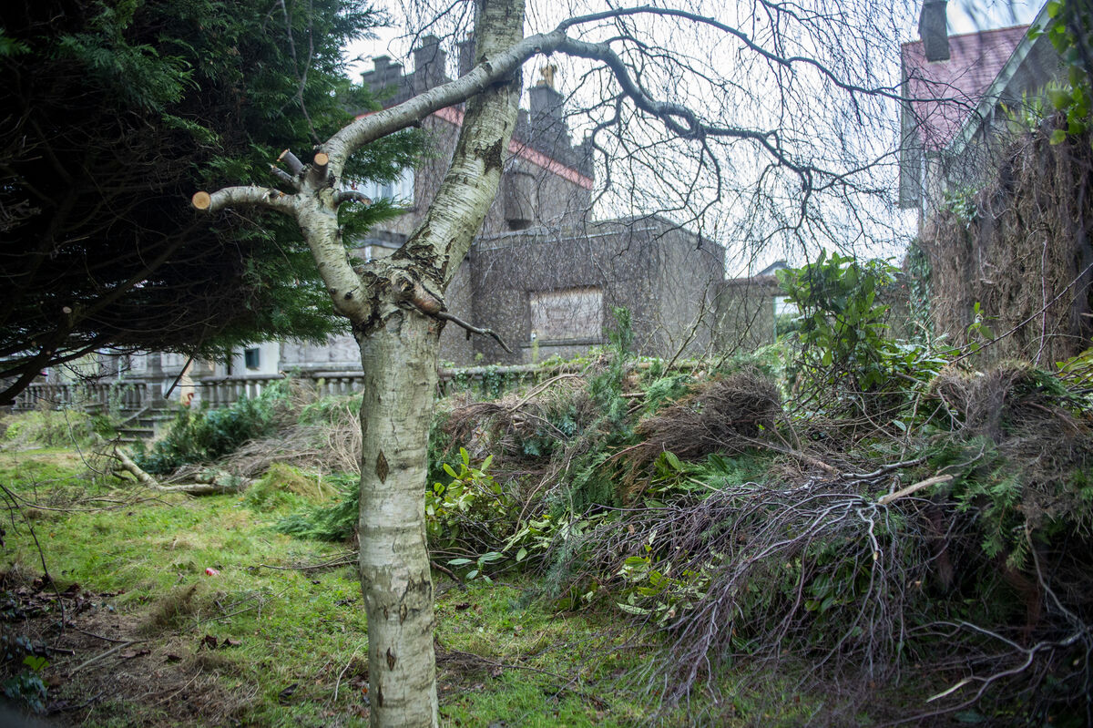  Part of the garden cleared during the search of Castlegreina House on the Boreenmanna Road in Cork where the body of Frankie Dunne was discovered. Picture: Dan Linehan
