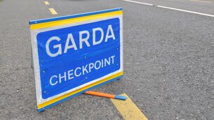 <p>91% of rural adults agree with calls for a dedicated Garda road safety unit, with 66% saying they strongly agree. Picture: Larry Cummins</p>