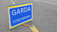 Rural Ireland Thinks: Only a third of drivers stopped at Garda checkpoint in the last year