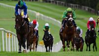 Not Just Any Eagle soars to Tipperary Cup glory at Clonmel