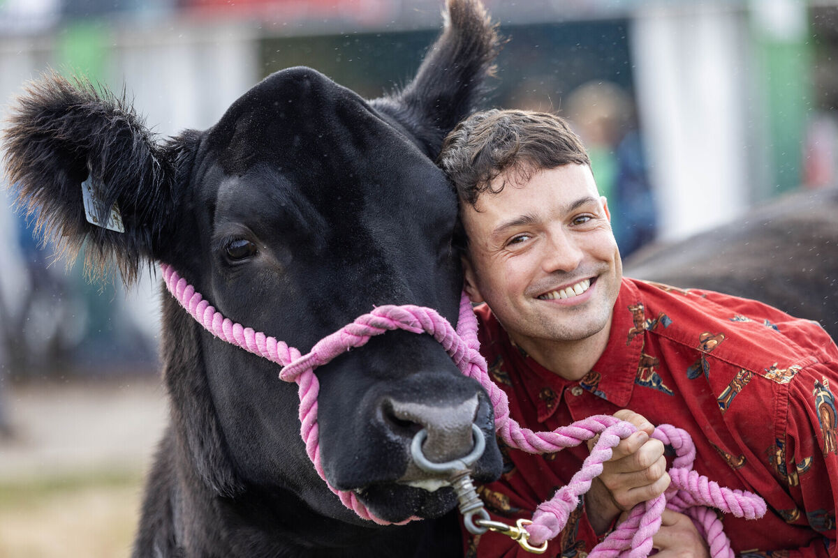 Presenter James Kavanagh gets hands on to help at the Certified Irish Angus School’s Competition. Picture: Finbarr O’Rourke Presenter James Kavanagh gets hands on to help at the Certified Irish Angus School’s Competition. Picture: Finbarr O’Rourke