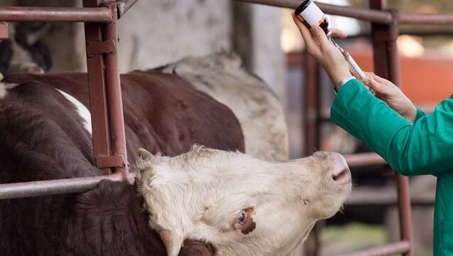 <p>Animals, like people, can sometimes fail to respond to treatment despite appropriate care being provided. Equally, certain conditions may be difficult to diagnose, particularly where symptoms are unclear or multiple conditions are present.</p>