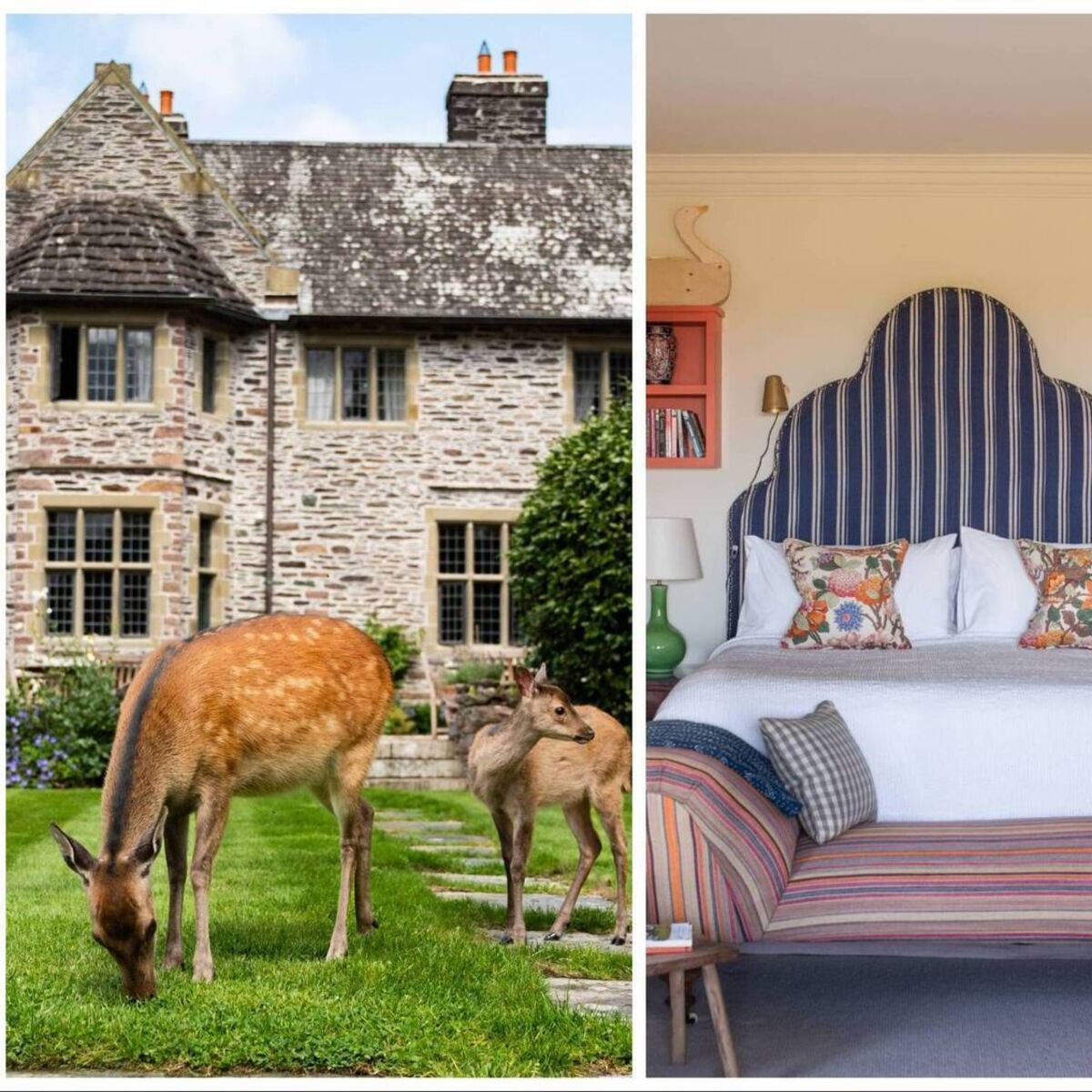 irishexaminer.com - Penny McCormick - 10 cosy Irish autumn escapes including spas, castles, and country homes