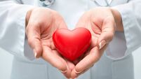 Doctor holding heart