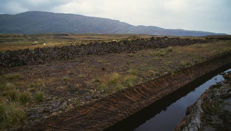 We are spending public money rewetting and rehabilitating bogs precisely because we now understand the carbon losses and ecological damage associated with drainage and extraction. Continuing to drain peatlands elsewhere risks recreating the very problem those programmes are trying to solve. Picture: Getty We are spending public money rewetting and rehabilitating bogs precisely because we now understand the carbon losses and ecological damage associated with drainage and extraction. Continuing to drain peatlands elsewhere risks recreating the very problem those programmes are trying to solve. Picture: Getty