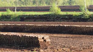 <p>Why are we spending public money repairing the effects of peat extraction while commercial peat extraction continues elsewhere? Picture: iStock</p> <p>Why are we spending public money repairing the effects of peat extraction while commercial peat extraction continues elsewhere? Picture: iStock</p>