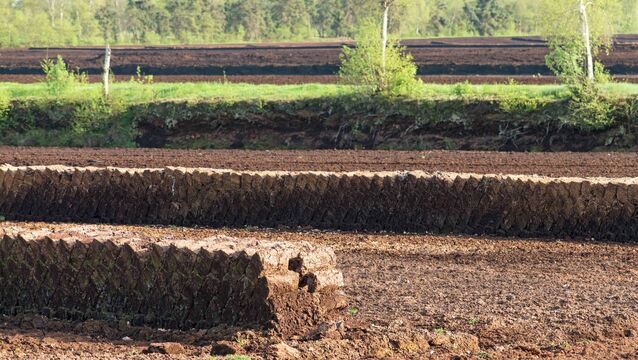 <p>Why are we spending public money repairing the effects of peat extraction while commercial peat extraction continues elsewhere? Picture: iStock</p>