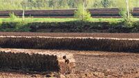 Turf block piles, industrial peat extraction on a raised bog landscape, nature destruction in the Venner Moor, Lower Saxony, Ger