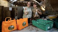 Going Dutch: Meet the Cork volunteer farmers growing their own 'gorgeous' organic vegetables