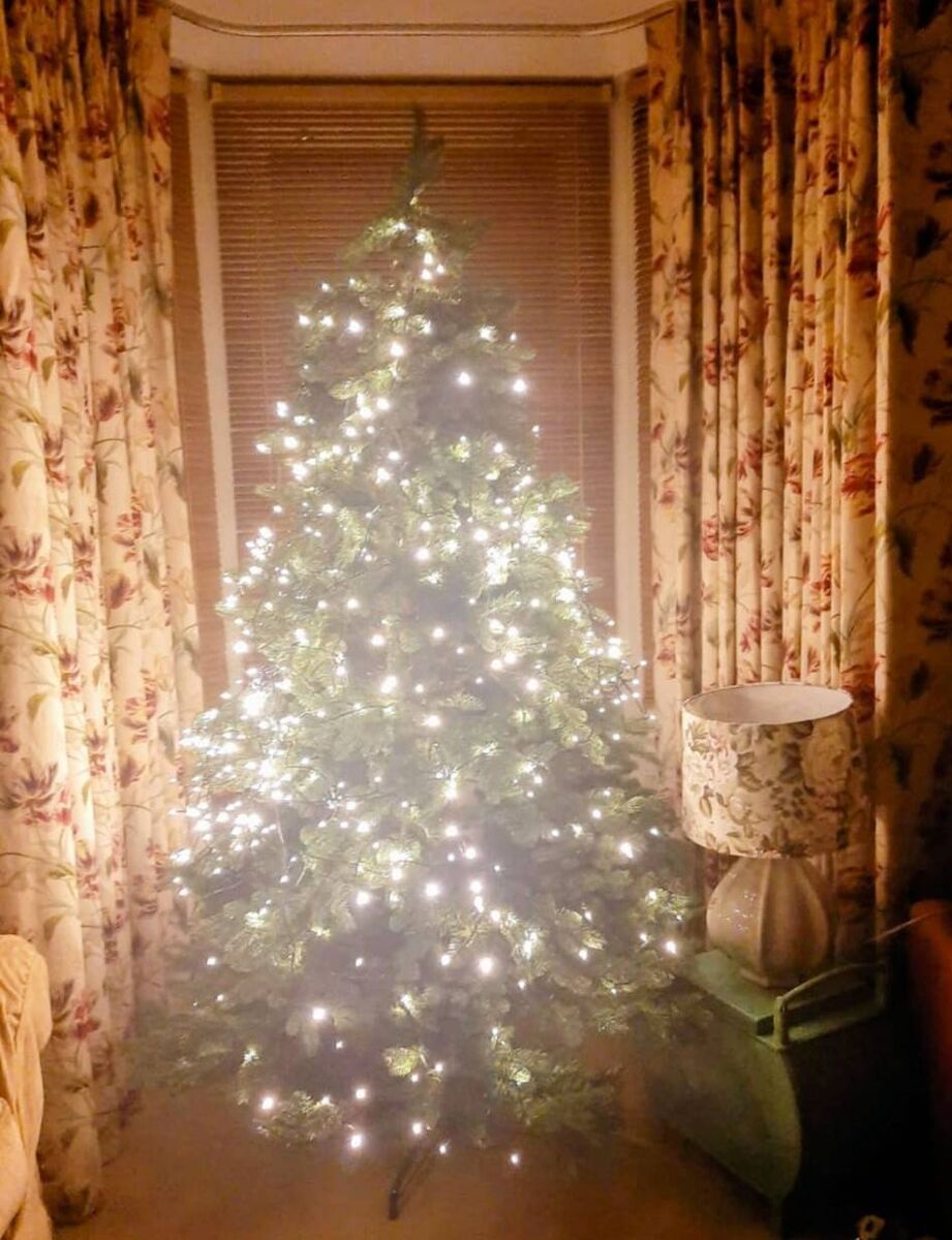 Christmas at 7 Roseneath Villas. Picture: supplied by vendor Christmas at 7 Roseneath Villas. Picture: supplied by vendor