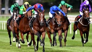 <p>EXCITING PROSPECT: Darkness Falls powers to victory in the inaugural running of the Group 1 Golden Fleece Stakes at Leopardstown last Saturday. Picture: Healy Racing</p> <p>EXCITING PROSPECT: Darkness Falls powers to victory in the inaugural running of the Group 1 Golden Fleece Stakes at Leopardstown last Saturday. Picture: Healy Racing</p>