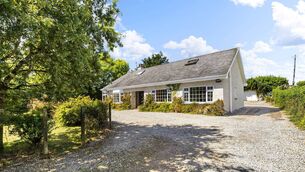 <p>Young grove, Midleton, Co. Cork. Pictures: Lyne Media</p> <p>Young grove, Midleton, Co. Cork. Pictures: Lyne Media</p>