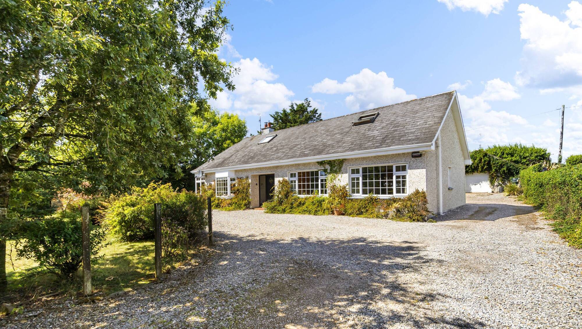 Young grove, Midleton, Co. Cork. Pictures: Lyne Media