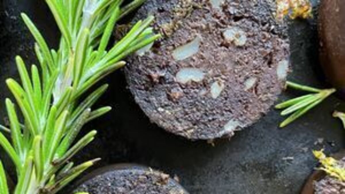 Aunt Lil’s Black Pudding