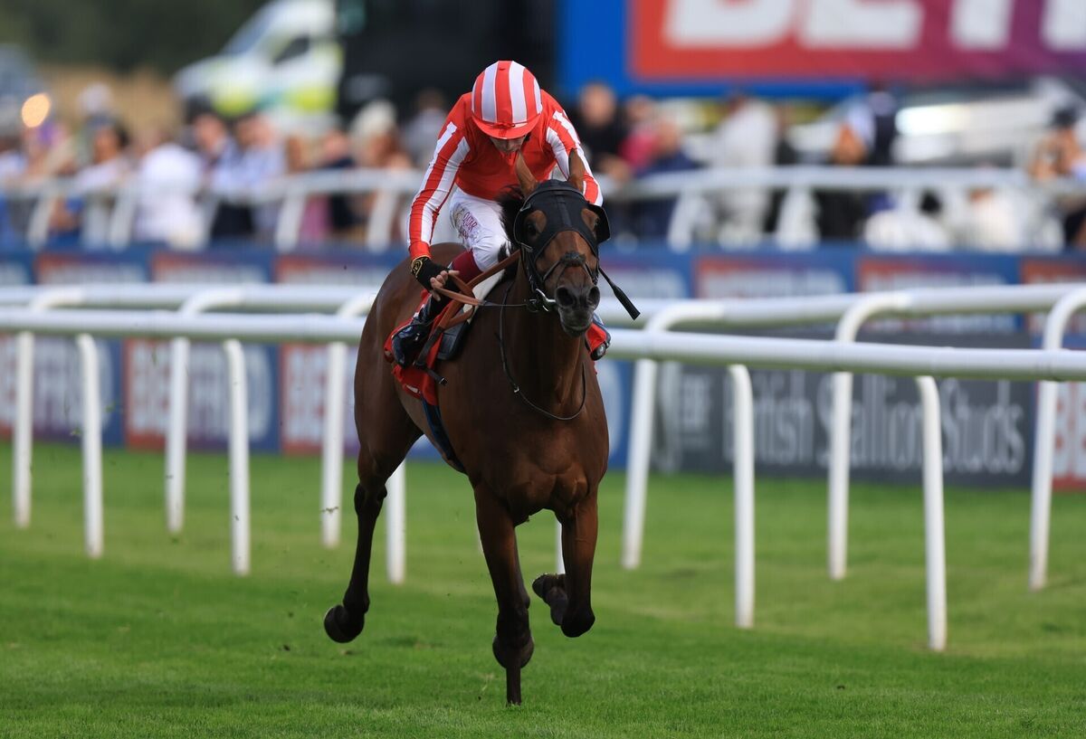 Caballo De Mar ridden by Oisin Murphy coming home to win at Doncaster. Pic: Nigel French/PA Caballo De Mar ridden by Oisin Murphy coming home to win at Doncaster. Pic: Nigel French/PA