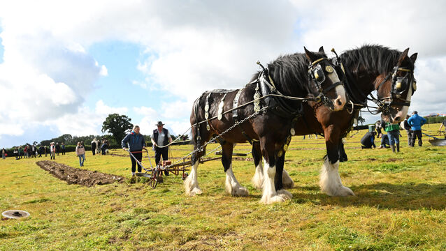 <p> 17-year-old Aaleasha Sweeney from Co Sligo competing in the Under-40 horse category with her grandfather Colman Cogan. While the competition is still at the heart of the National Ploughing Championships, Anna May McHugh's vision was always for a bigger event. Picture: Larry Cummins</p>