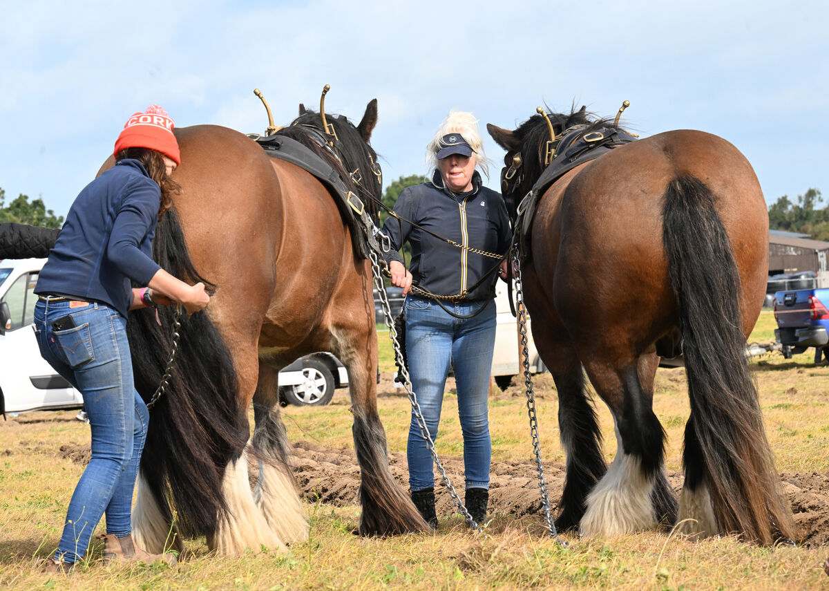 Claire O'Rourke and Séad Ní Mhaoilmhia on the all-female team from Cork West ploughing in the special horse class on Day Three of the Ploughing. Picture: Larry Cummins Claire O'Rourke and Séad Ní Mhaoilmhia on the all-female team from Cork West ploughing in the special horse class on Day Three of the Ploughing. Picture: Larry Cummins