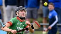 Ballinora retain senior status as Glen Rovers condemned to camogie relegation