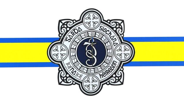<p>Opposition TDs accused the Government of using legislation as a 'hiding place', and claim Helen McEntee is 'ducking and dodging every single question' about Garda whistleblowers. Stock picture</p>