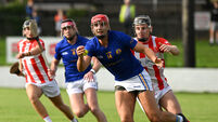 Watch and Read: Watergrasshill come out on top in SAHC thriller to book semi-final