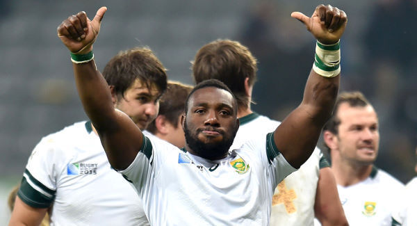 South Africa see off Scotland at St James' Park