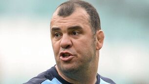 Michael Cheika: New Zealand are favourites for Rugby World Cup final