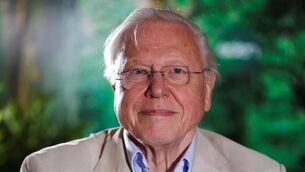 David Pocock invites David Attenborough to World Cup final