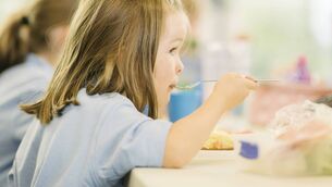 <p>There has been a call for total transparency regarding “what’s actually being eaten by children” as Cabinet is to discuss proposals to overhaul the free hot school meals programme after reviews revealed shortcomings in the service. File photo. </p> <p>There has been a call for total transparency regarding “what’s actually being eaten by children” as Cabinet is to discuss proposals to overhaul the free hot school meals programme after reviews revealed shortcomings in the service. File photo. </p>