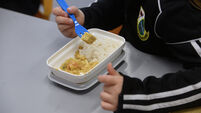 Revamp of free school meals programme to include cold lunch option