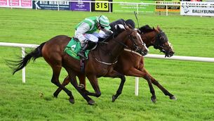 <p>Niall McCullagh seemed to stop riding after passing 50-yard marker and Iamimmaculate was beaten by a head at the line by Dragon of Malta. Pic: Healy Racing Photo</p> <p>Niall McCullagh seemed to stop riding after passing 50-yard marker and Iamimmaculate was beaten by a head at the line by Dragon of Malta. Pic: Healy Racing Photo</p>