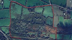 <p>Marked aerial view of the 58-acre holding at Ballyhar, Killarney, Co Kerry. File picture</p> <p>Marked aerial view of the 58-acre holding at Ballyhar, Killarney, Co Kerry. File picture</p>