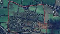 A crisp bit of Irish cultural history? Original Tayto farm for sale in Co Meath