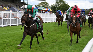 <p>OUT IN FRONT: Handani wins the John McGuire (Premier) Handicap in the hands of Chris Hayes.</p> <p>OUT IN FRONT: Handani wins the John McGuire (Premier) Handicap in the hands of Chris Hayes.</p>
