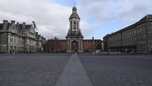 <p>Hafez Alrayyes had been awarded a fully-funded scholarship at Trinity College Dublin, which covered course fees, accommodation, an annual stipend, and welfare supports.</p> <p>Hafez Alrayyes had been awarded a fully-funded scholarship at Trinity College Dublin, which covered course fees, accommodation, an annual stipend, and welfare supports.</p>