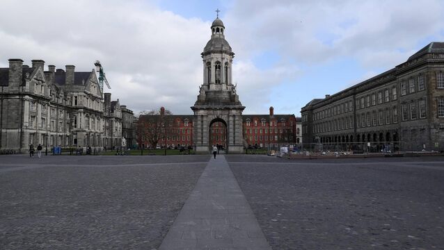 <p>Hafez Alrayyes had been awarded a fully-funded scholarship at Trinity College Dublin, which covered course fees, accommodation, an annual stipend, and welfare supports.</p>