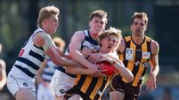 VFL Grand Final - Geelong Cats v Box Hill Hawks