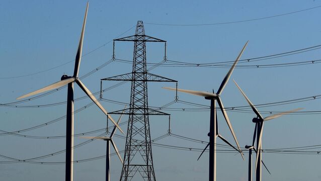 <p>Wholesale electricity prices rose by almost 77% in the 12 months to August 2026, according to data released by the Central Statistics Office on Tuesday. Picture: PA </p>