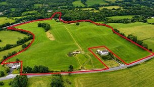 <p>The 28-acre holding in Cleady, Kenmare.</p>