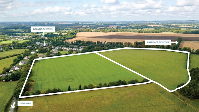 <p>An aerial photo of the 32-acre farm at Brannockstown, Co. Killkenny.</p>