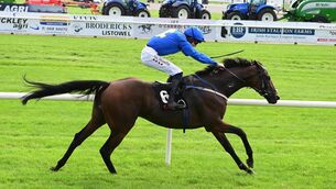 <p>PAIR OF KINGS: Majestic King and Daniel King win The GAIN The Advantage Series Handicap for trainer Denis Hogan at Listowel. Pic: Healy Racing Photo</p> <p>PAIR OF KINGS: Majestic King and Daniel King win The GAIN The Advantage Series Handicap for trainer Denis Hogan at Listowel. Pic: Healy Racing Photo</p>