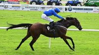 Daniel King hoping for 'bit of luck' in Kerry National bid