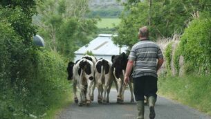 <p>Trust in farmers has been consistent between 65% and 68% in the last five years. File picture</p> <p>Trust in farmers has been consistent between 65% and 68% in the last five years. File picture</p>
