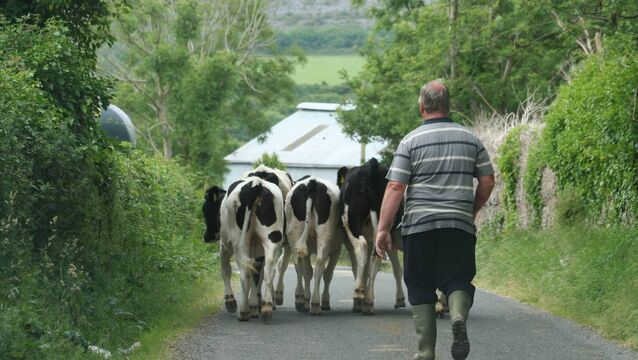 <p>Trust in farmers has been consistent between 65% and 68% in the last five years. File picture</p>