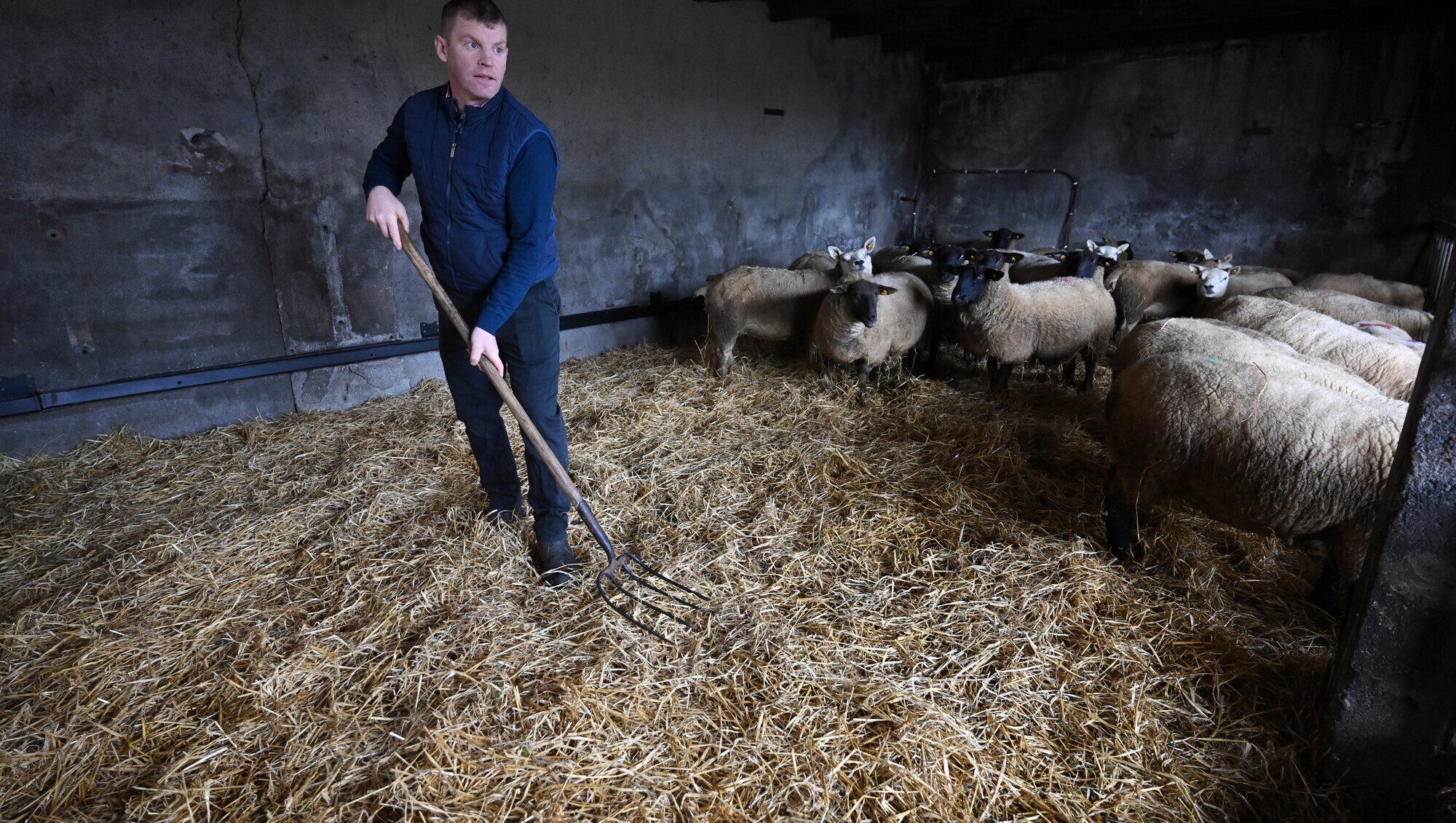 Farmer Michael Forde, Parkhouse, Annagh West, Corrandulla, Co Galway, gets the straw bedding ready. Picture: Ray Ryan